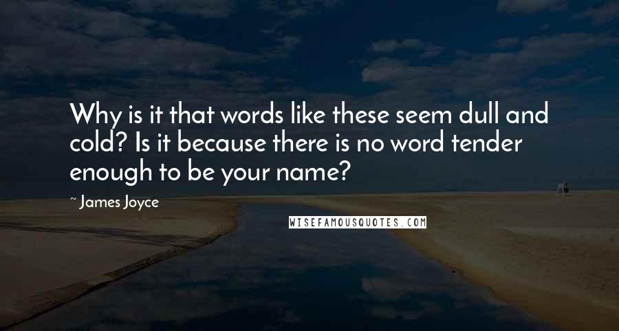 James Joyce quotes: Why is it that words like these seem dull and cold? Is it because there is no word tender enough to be your name? James Joyce quotes: Why is it that words like these seem dull and cold? Is it because there is no word tender enough to be your name?