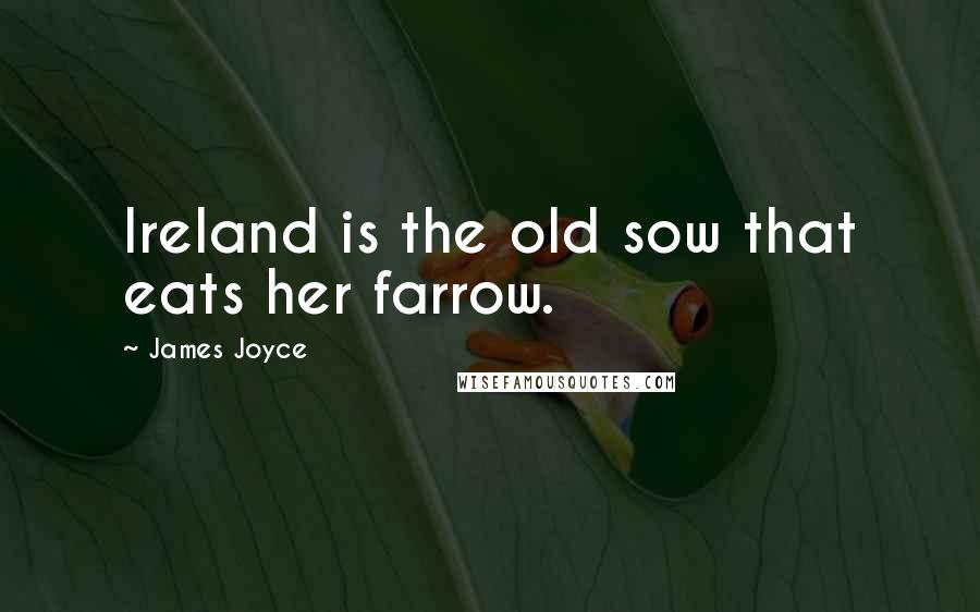 James Joyce quotes: Ireland is the old sow that eats her farrow.