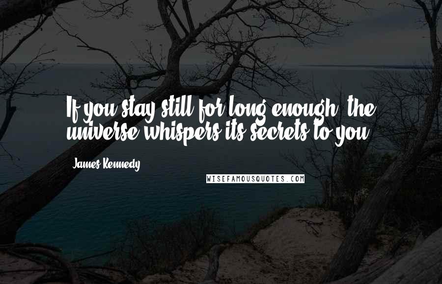 James Kennedy quotes: If you stay still for long enough, the universe whispers its secrets to you.