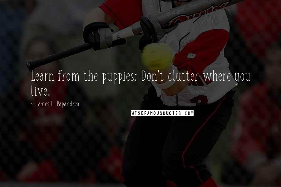 James L. Papandrea quotes: Learn from the puppies: Don't clutter where you live.