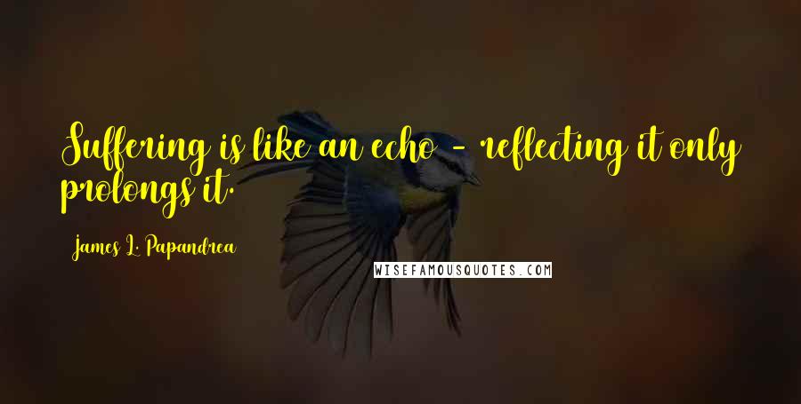 James L. Papandrea quotes: Suffering is like an echo - reflecting it only prolongs it.