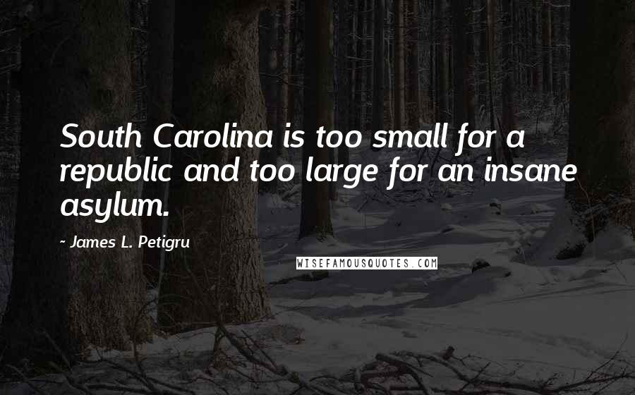 James L. Petigru quotes: South Carolina is too small for a republic and too large for an insane asylum.