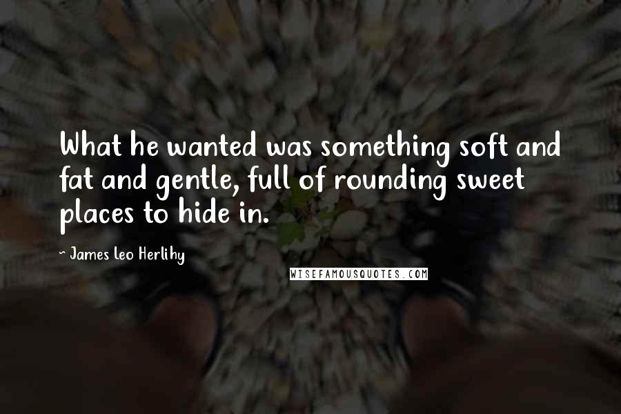 James Leo Herlihy quotes: What he wanted was something soft and fat and gentle, full of rounding sweet places to hide in.