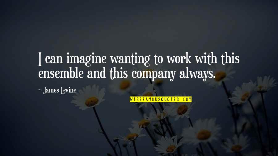 James Levine Quotes By James Levine: I can imagine wanting to work with this