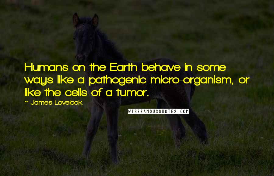 James Lovelock quotes: Humans on the Earth behave in some ways like a pathogenic micro-organism, or like the cells of a tumor.