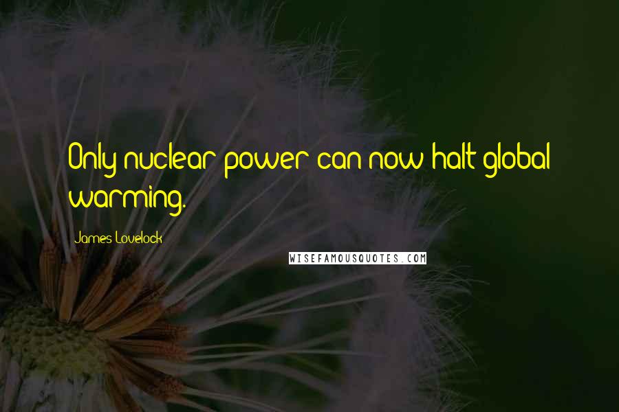 James Lovelock quotes: Only nuclear power can now halt global warming.