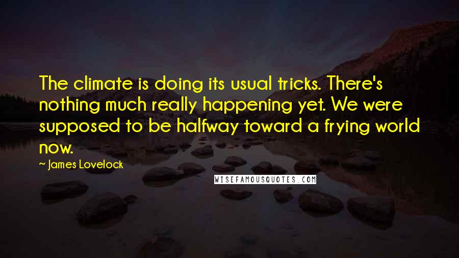 James Lovelock quotes: The climate is doing its usual tricks. There's nothing much really happening yet. We were supposed to be halfway toward a frying world now.