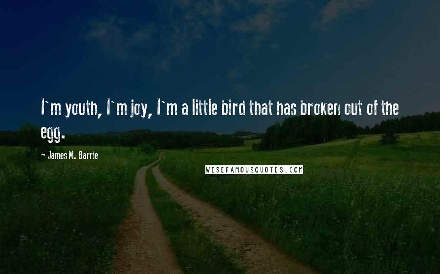 James M. Barrie quotes: I'm youth, I'm joy, I'm a little bird that has broken out of the egg.