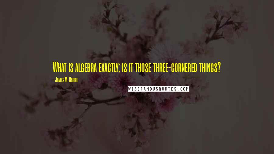 James M. Barrie quotes: What is algebra exactly; is it those three-cornered things?