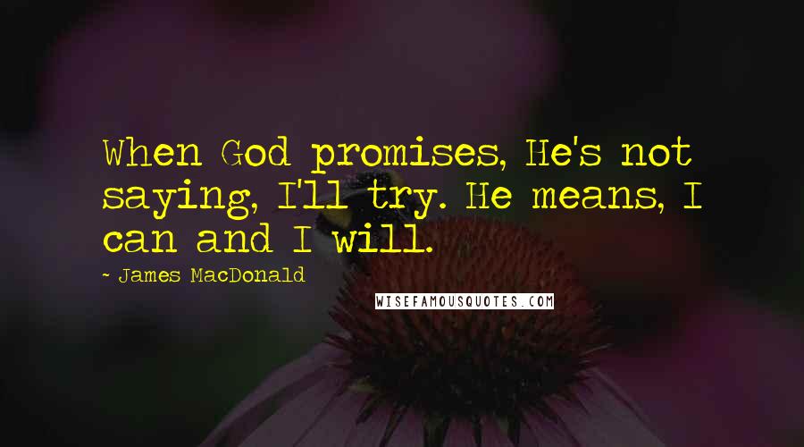 James MacDonald quotes: When God promises, He's not saying, I'll try. He means, I can and I will.