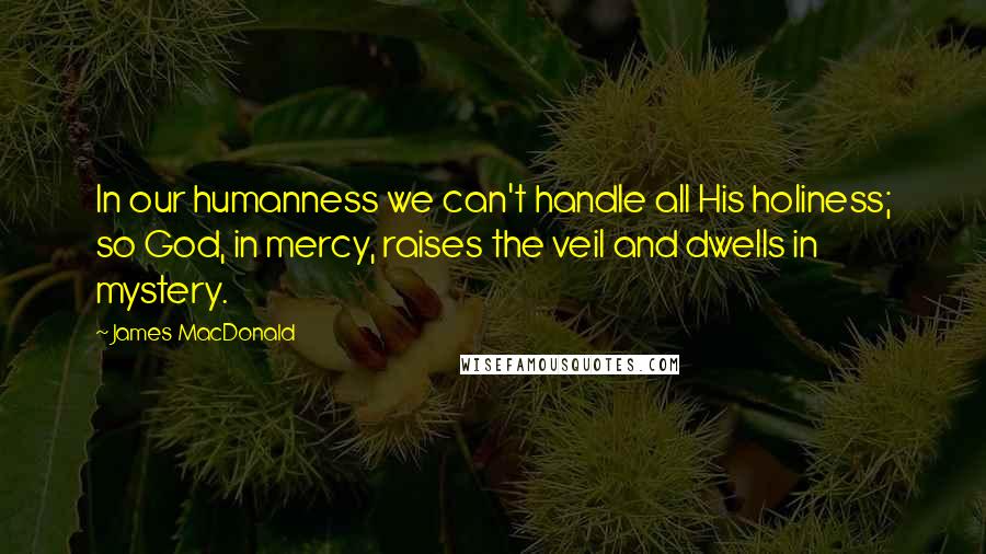 James MacDonald quotes: In our humanness we can't handle all His holiness; so God, in mercy, raises the veil and dwells in mystery.