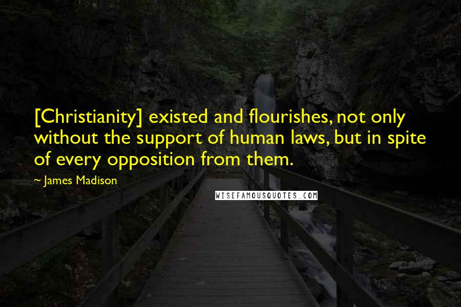 James Madison quotes: [Christianity] existed and flourishes, not only without the support of human laws, but in spite of every opposition from them.