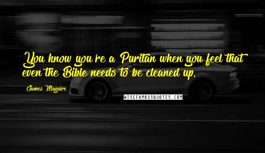 James Maguire quotes: You know you're a Puritan when you feel that even the Bible needs to be cleaned up.