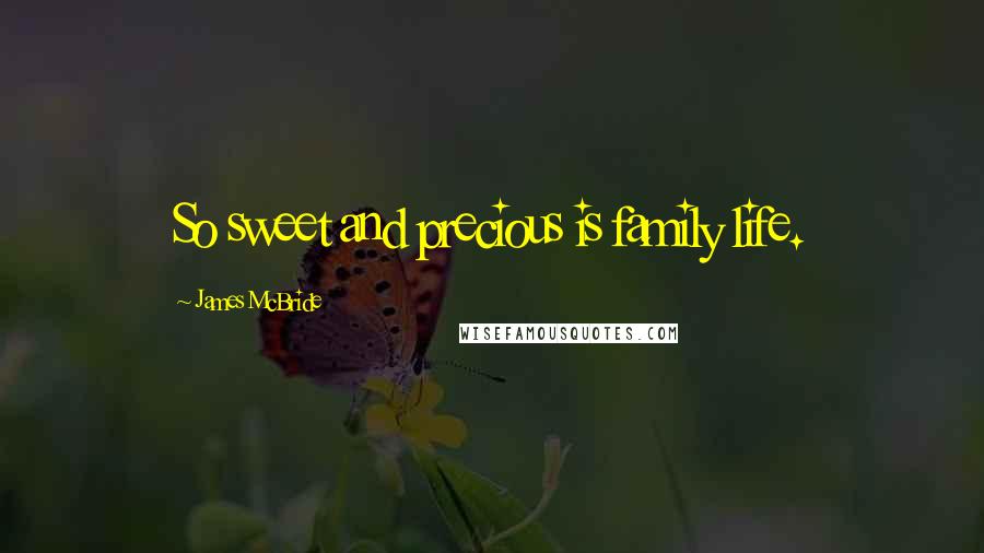 James McBride quotes: So sweet and precious is family life.