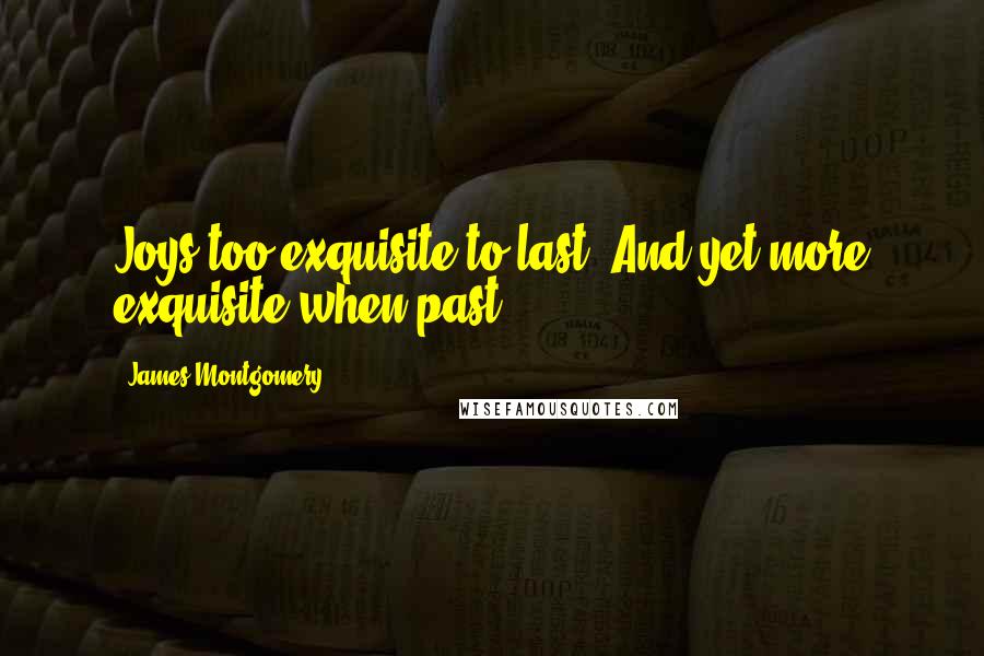 James Montgomery quotes: Joys too exquisite to last, And yet more exquisite when past.