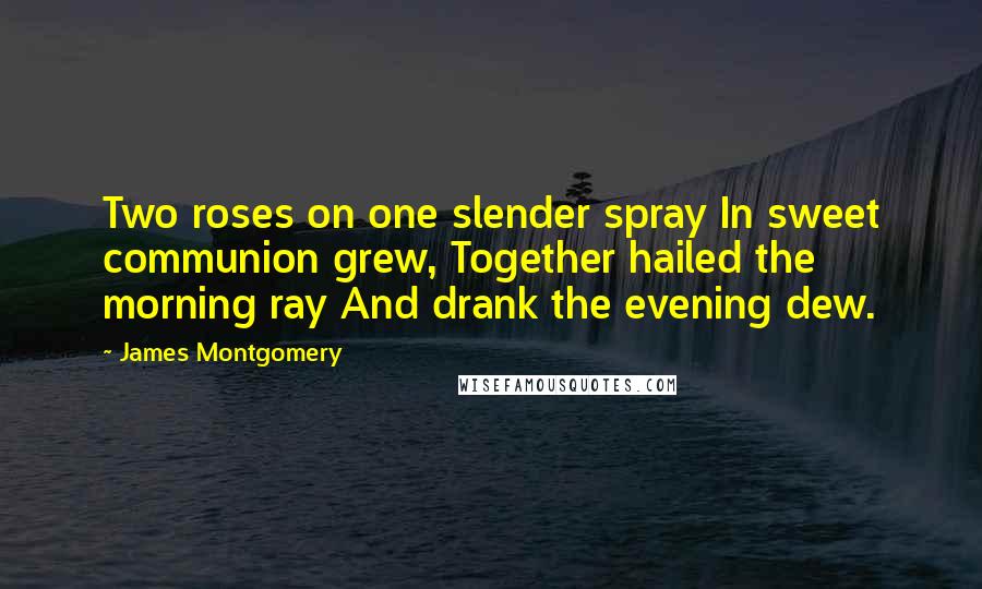 James Montgomery quotes: Two roses on one slender spray In sweet communion grew, Together hailed the morning ray And drank the evening dew.