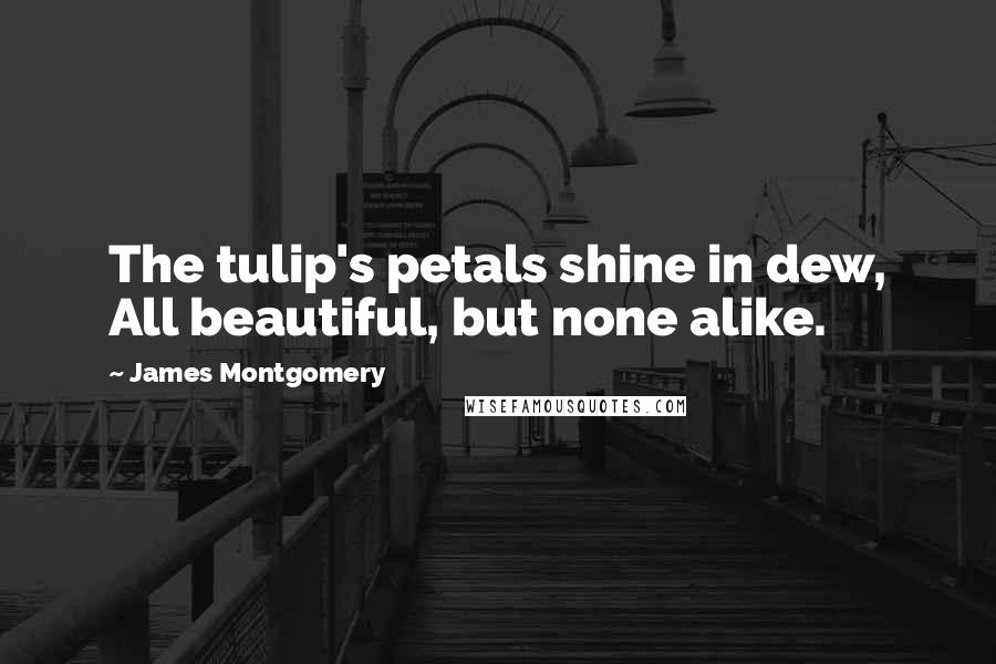 James Montgomery quotes: The tulip's petals shine in dew, All beautiful, but none alike.