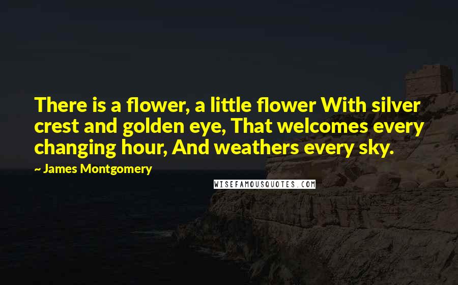James Montgomery quotes: There is a flower, a little flower With silver crest and golden eye, That welcomes every changing hour, And weathers every sky.