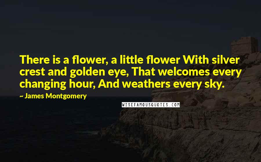 James Montgomery quotes: There is a flower, a little flower With silver crest and golden eye, That welcomes every changing hour, And weathers every sky. James Montgomery quotes: There is a flower, a little flower With silver crest and golden eye, That welcomes every changing hour, And weathers every sky.