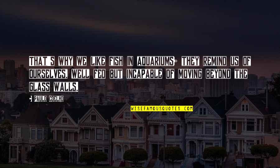 James Murr Quotes By Paulo Coelho: That's why we like fish in aquariums; they James Murr Quotes By Paulo Coelho: That's why we like fish in aquariums; they