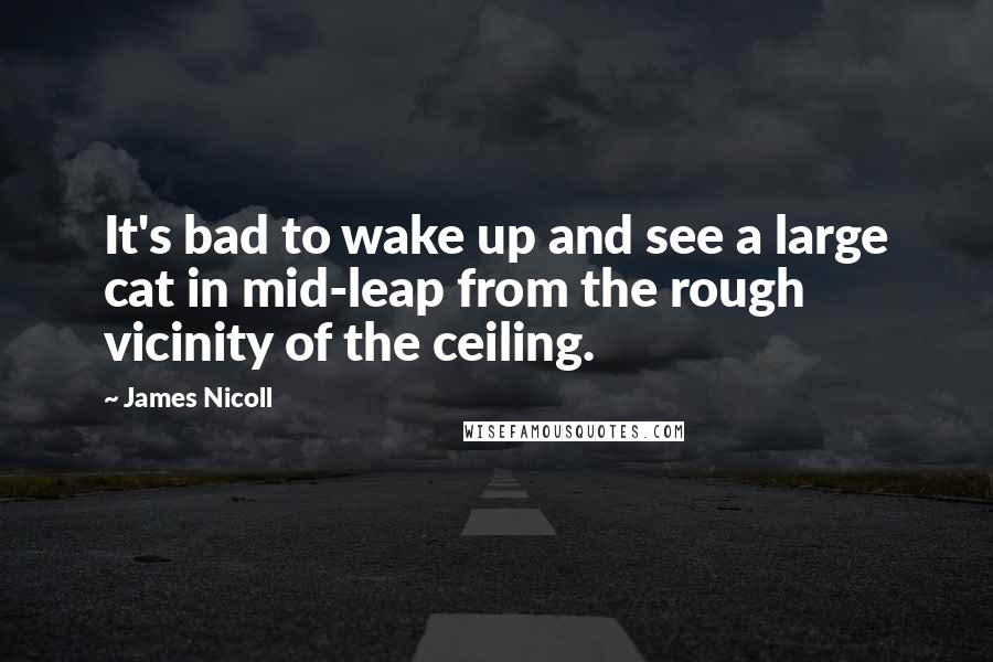 James Nicoll quotes: It's bad to wake up and see a large cat in mid-leap from the rough vicinity of the ceiling.