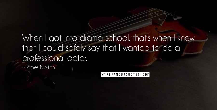 James Norton quotes: When I got into drama school, that's when I knew that I could safely say that I wanted to be a professional actor.