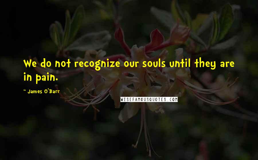 James O'Barr quotes: We do not recognize our souls until they are in pain.