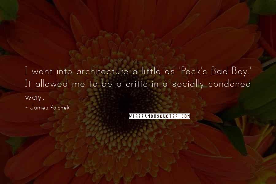 James Polshek quotes: I went into architecture a little as 'Peck's Bad Boy.' It allowed me to be a critic in a socially condoned way.
