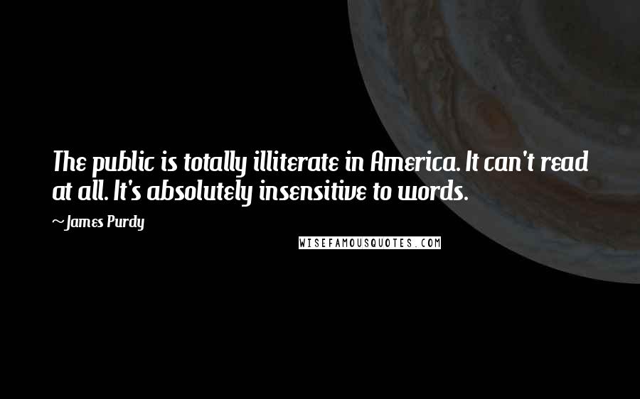 James Purdy quotes: The public is totally illiterate in America. It can't read at all. It's absolutely insensitive to words.
