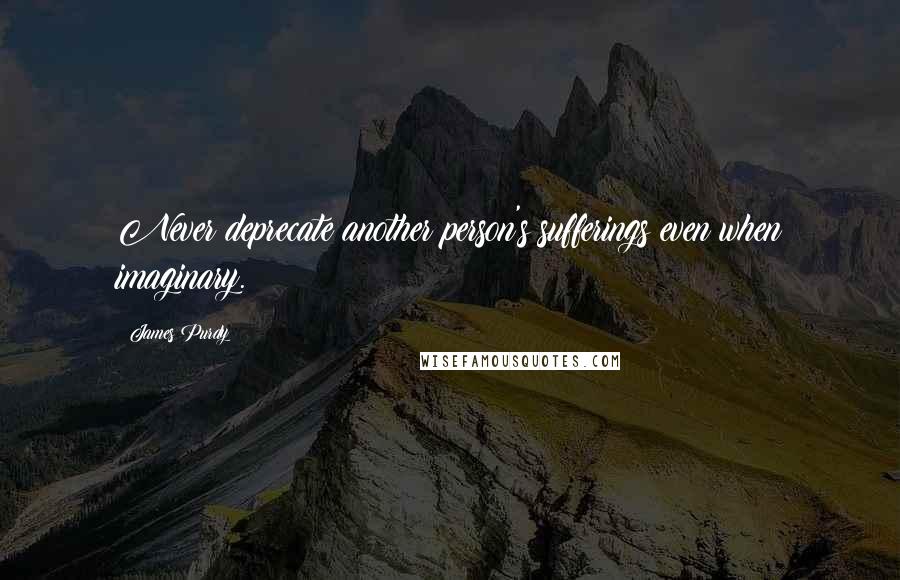 James Purdy quotes: Never deprecate another person's sufferings even when imaginary.