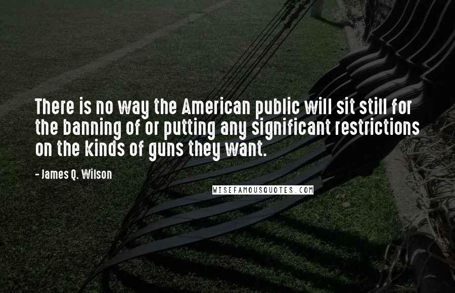James Q. Wilson quotes: There is no way the American public will sit still for the banning of or putting any significant restrictions on the kinds of guns they want.
