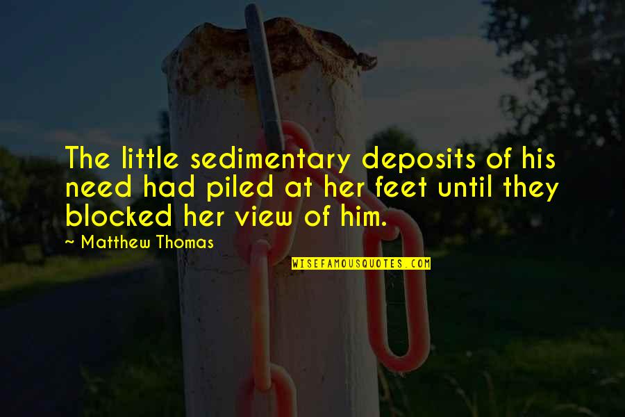 James Reese Quotes By Matthew Thomas: The little sedimentary deposits of his need had