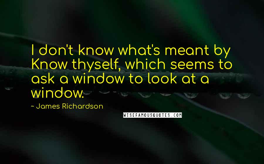 James Richardson quotes: I don't know what's meant by Know thyself, which seems to ask a window to look at a window.