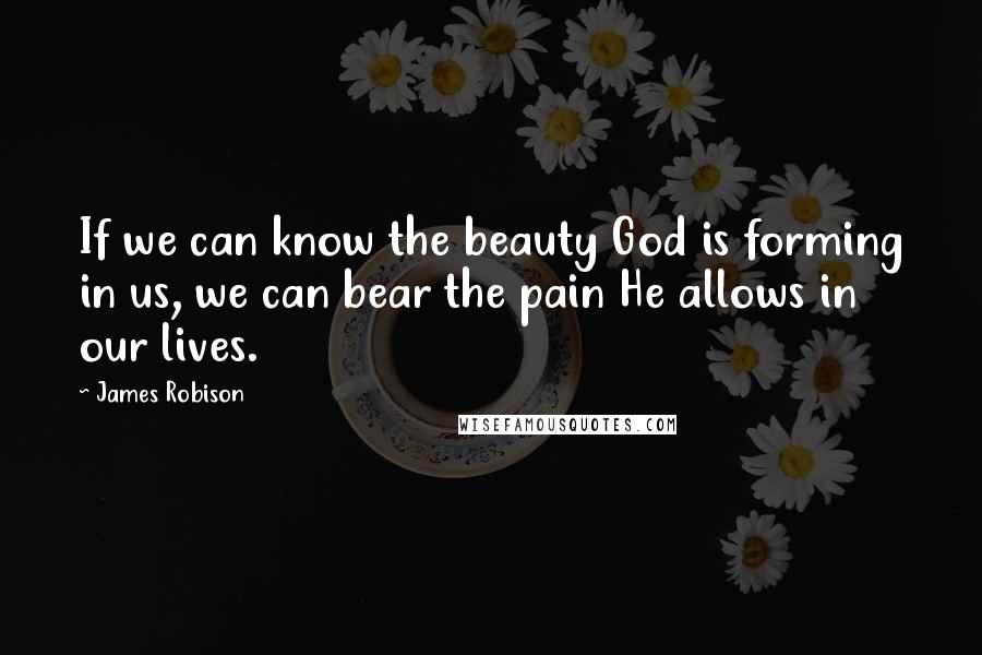 James Robison quotes: If we can know the beauty God is forming in us, we can bear the pain He allows in our lives.