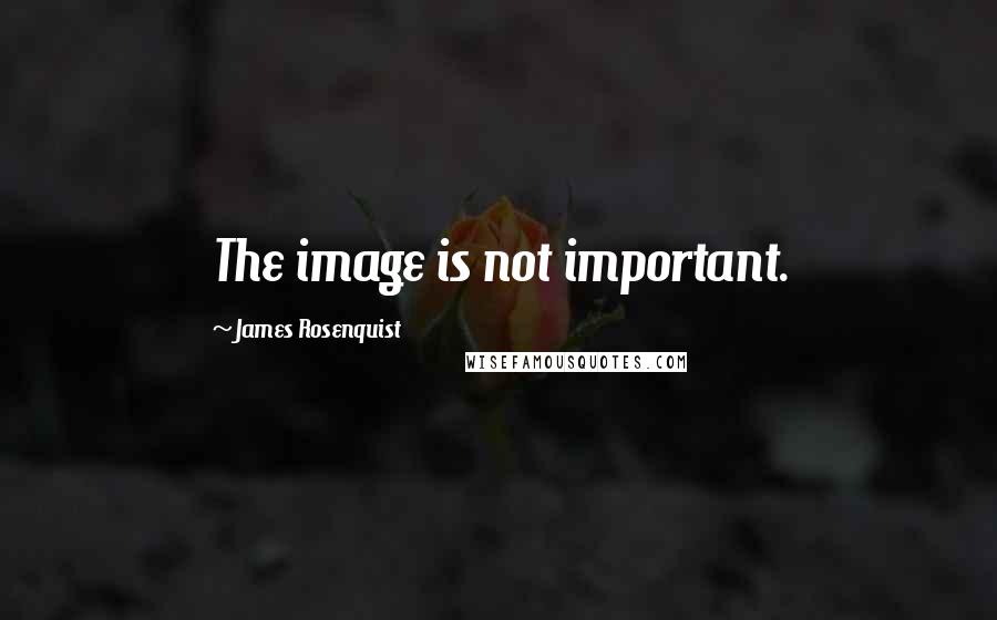 James Rosenquist quotes: The image is not important.