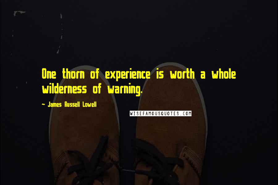 James Russell Lowell quotes: One thorn of experience is worth a whole wilderness of warning.