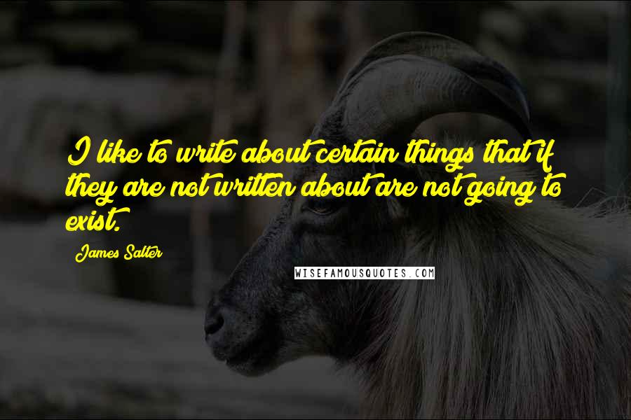 James Salter quotes: I like to write about certain things that if they are not written about are not going to exist.