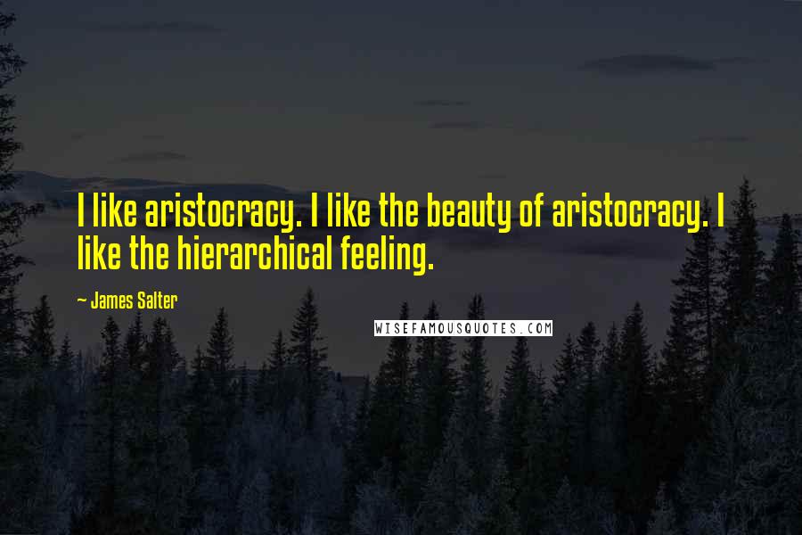 James Salter quotes: I like aristocracy. I like the beauty of aristocracy. I like the hierarchical feeling.