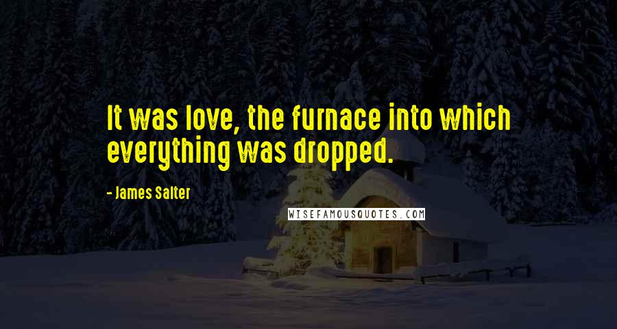 James Salter quotes: It was love, the furnace into which everything was dropped.