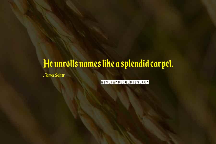 James Salter quotes: He unrolls names like a splendid carpet.