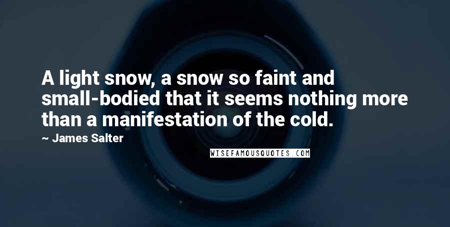 James Salter quotes: A light snow, a snow so faint and small-bodied that it seems nothing more than a manifestation of the cold.