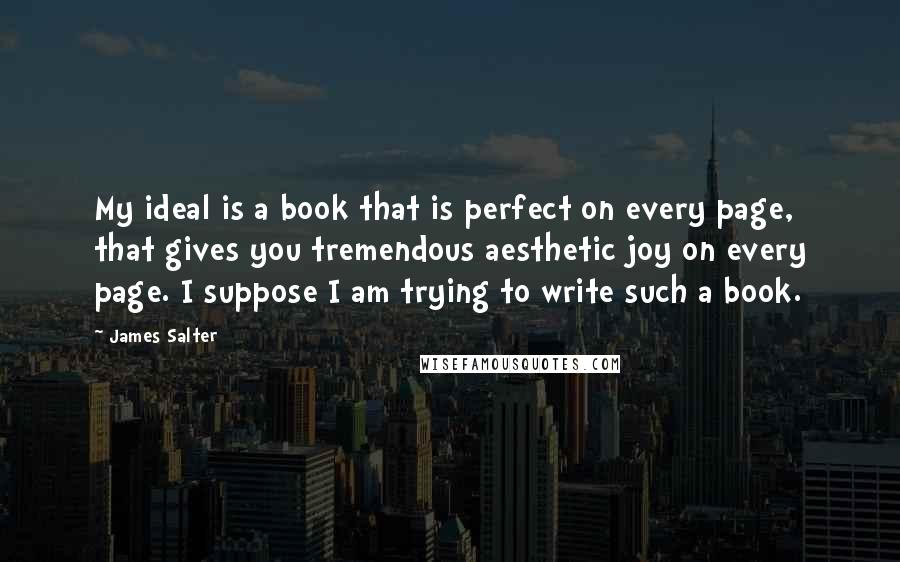 James Salter quotes: My ideal is a book that is perfect on every page, that gives you tremendous aesthetic joy on every page. I suppose I am trying to write such a book.