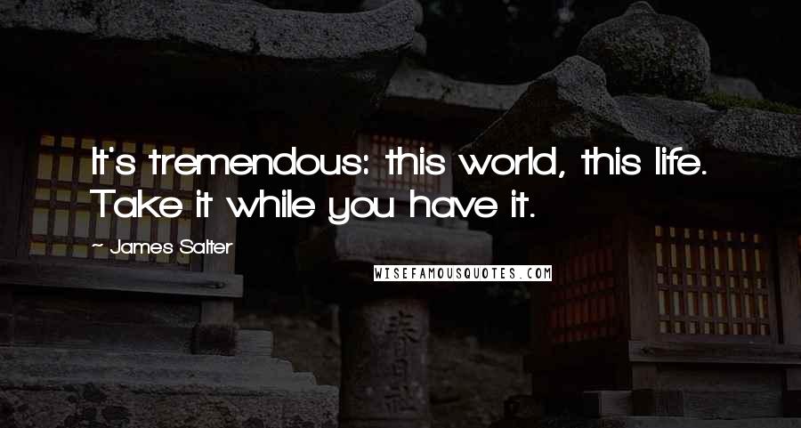 James Salter quotes: It's tremendous: this world, this life. Take it while you have it.