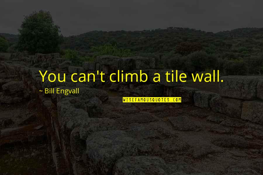 James Scullin Quotes By Bill Engvall: You can't climb a tile wall.