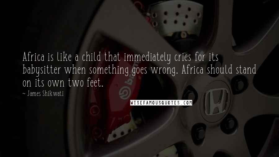 James Shikwati quotes: Africa is like a child that immediately cries for its babysitter when something goes wrong. Africa should stand on its own two feet.