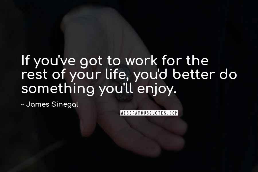 James Sinegal quotes: If you've got to work for the rest of your life, you'd better do something you'll enjoy.