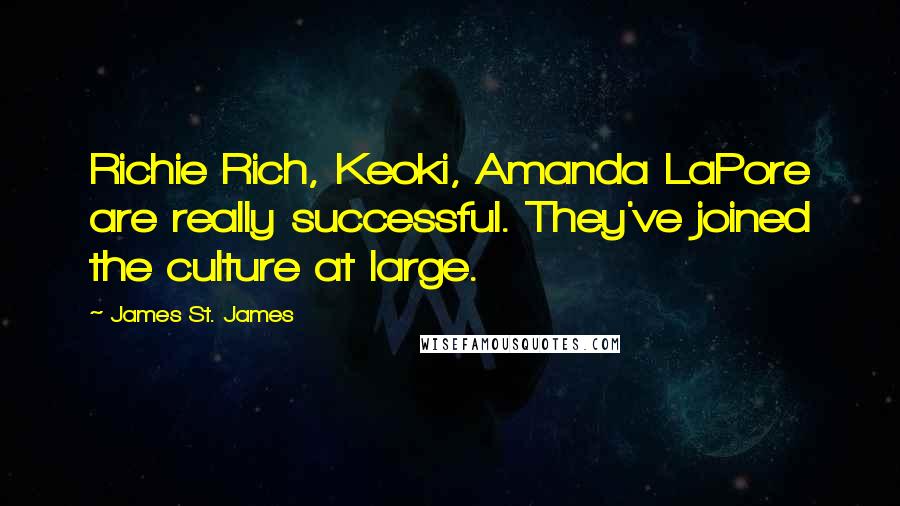 James St. James quotes: Richie Rich, Keoki, Amanda LaPore are really successful. They've joined the culture at large.
