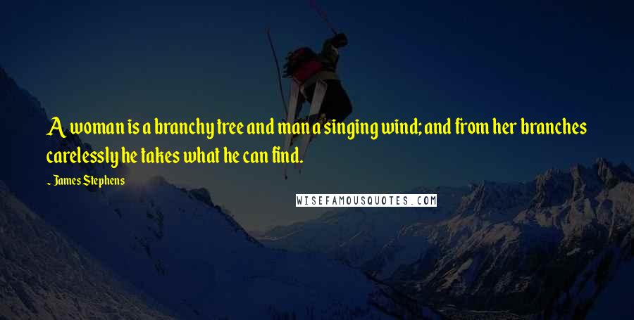 James Stephens quotes: A woman is a branchy tree and man a singing wind; and from her branches carelessly he takes what he can find.