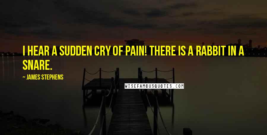 James Stephens quotes: I hear a sudden cry of pain! There is a rabbit in a snare.