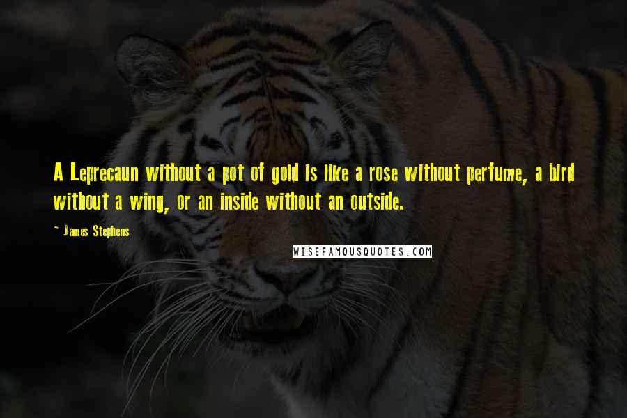 James Stephens quotes: A Leprecaun without a pot of gold is like a rose without perfume, a bird without a wing, or an inside without an outside.